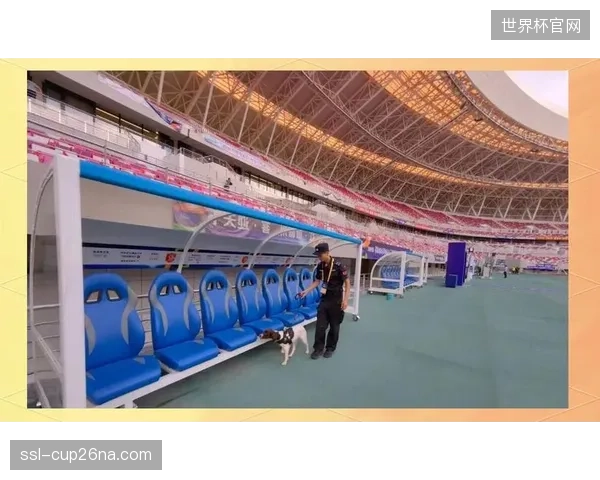 赛事组织方需应对复杂的安保挑战，确保球员和球迷在三国之间的安全通行。